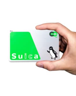 Suica Card Travel Pass